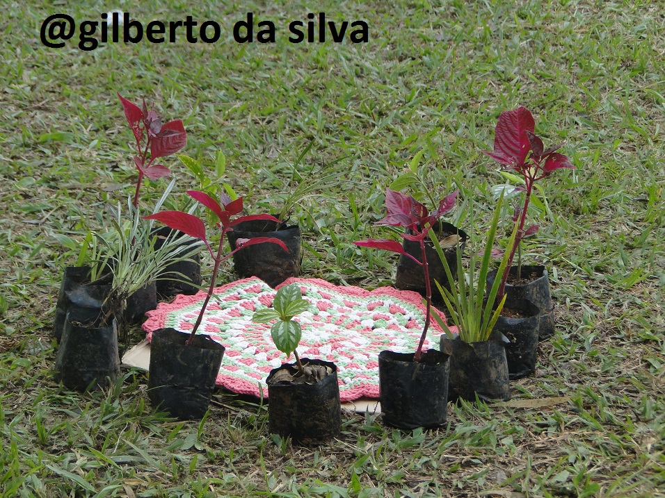 Debatendo os desafios da Educação Ambiental