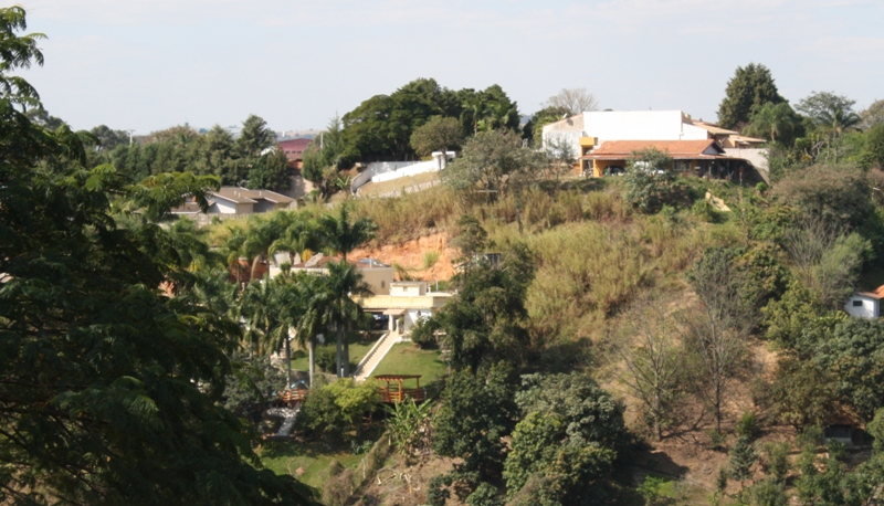 Memória curta acelera a ideologia dos borras botas
