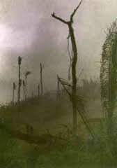 Colonização de Rondônia: lutas e conflitos entre colonizadores e indígenas em prol da posse da terra