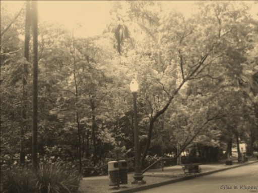 As lições de um vampiro