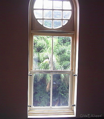 Alguma sustentabilidade