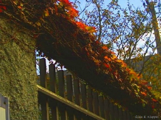 O portão eletrônico