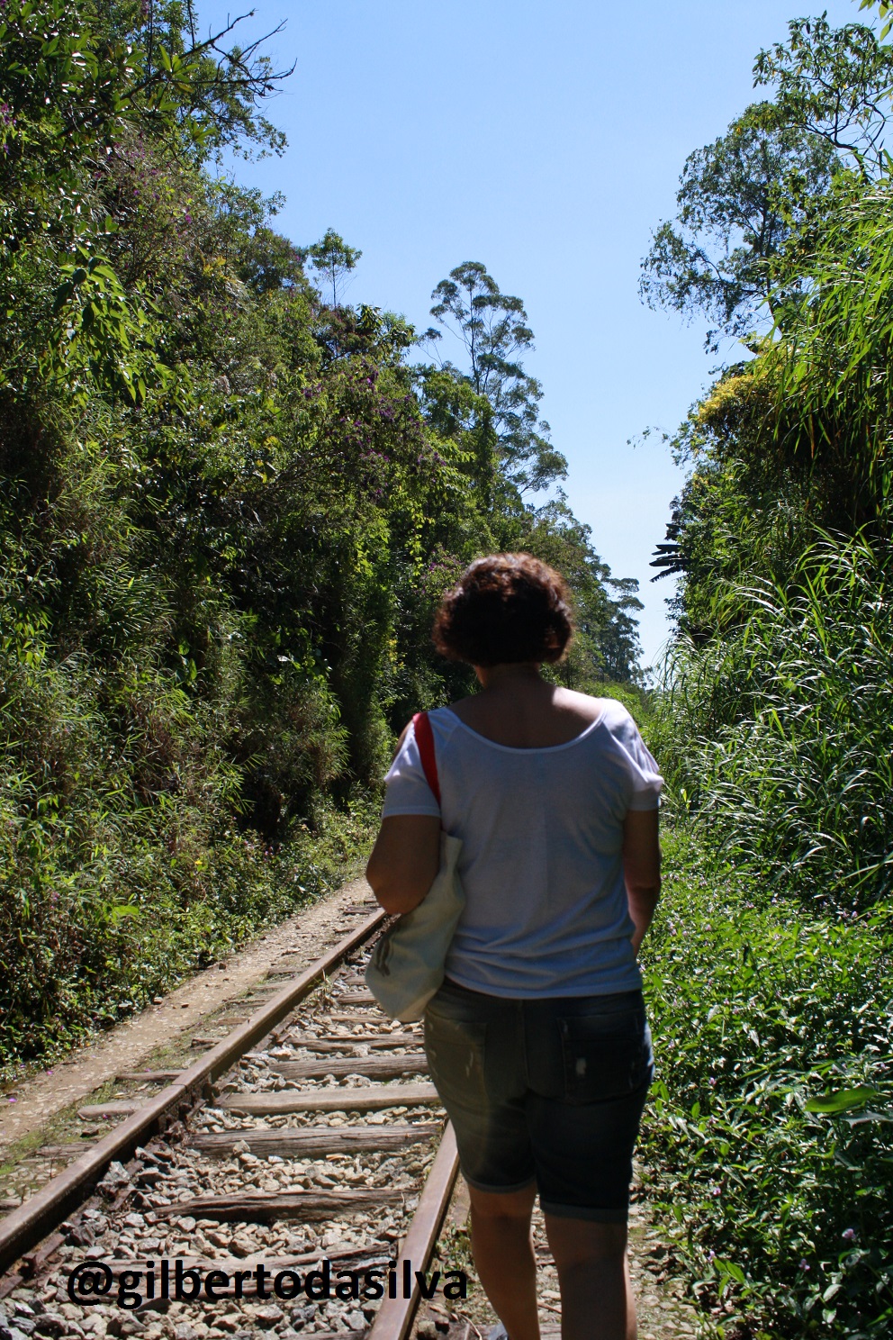 Questão da Mulher: lutas e conquistas no seu espaço público e privado