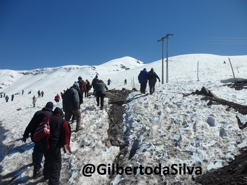 A carreira que é um mico