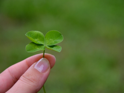 A vendedora de bilhetes