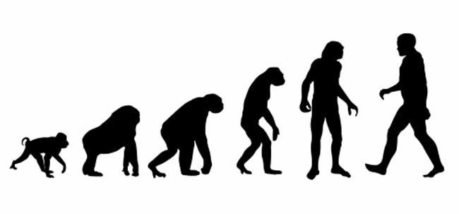 Voltem que ainda não seu certo