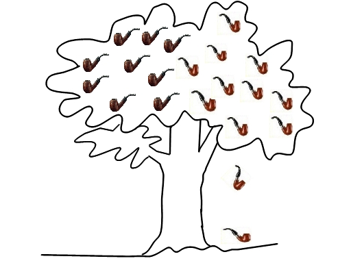 O domingo do pé de cachimbo