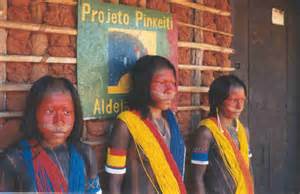 A devastação da Amazônia está apenas começando