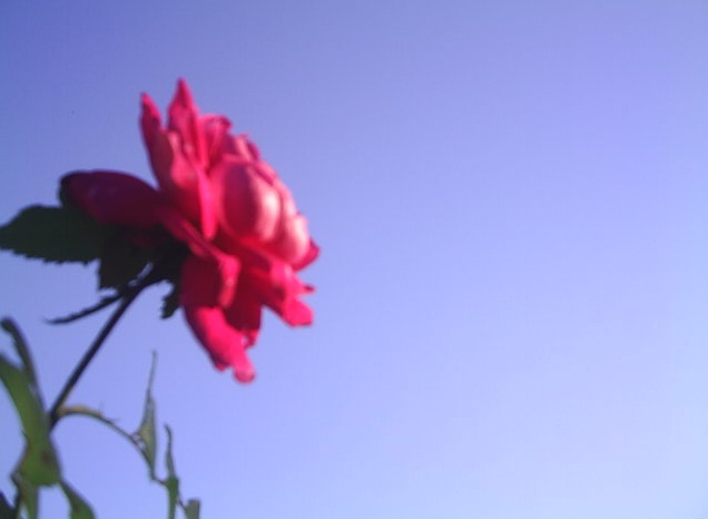 Os professores do futuro