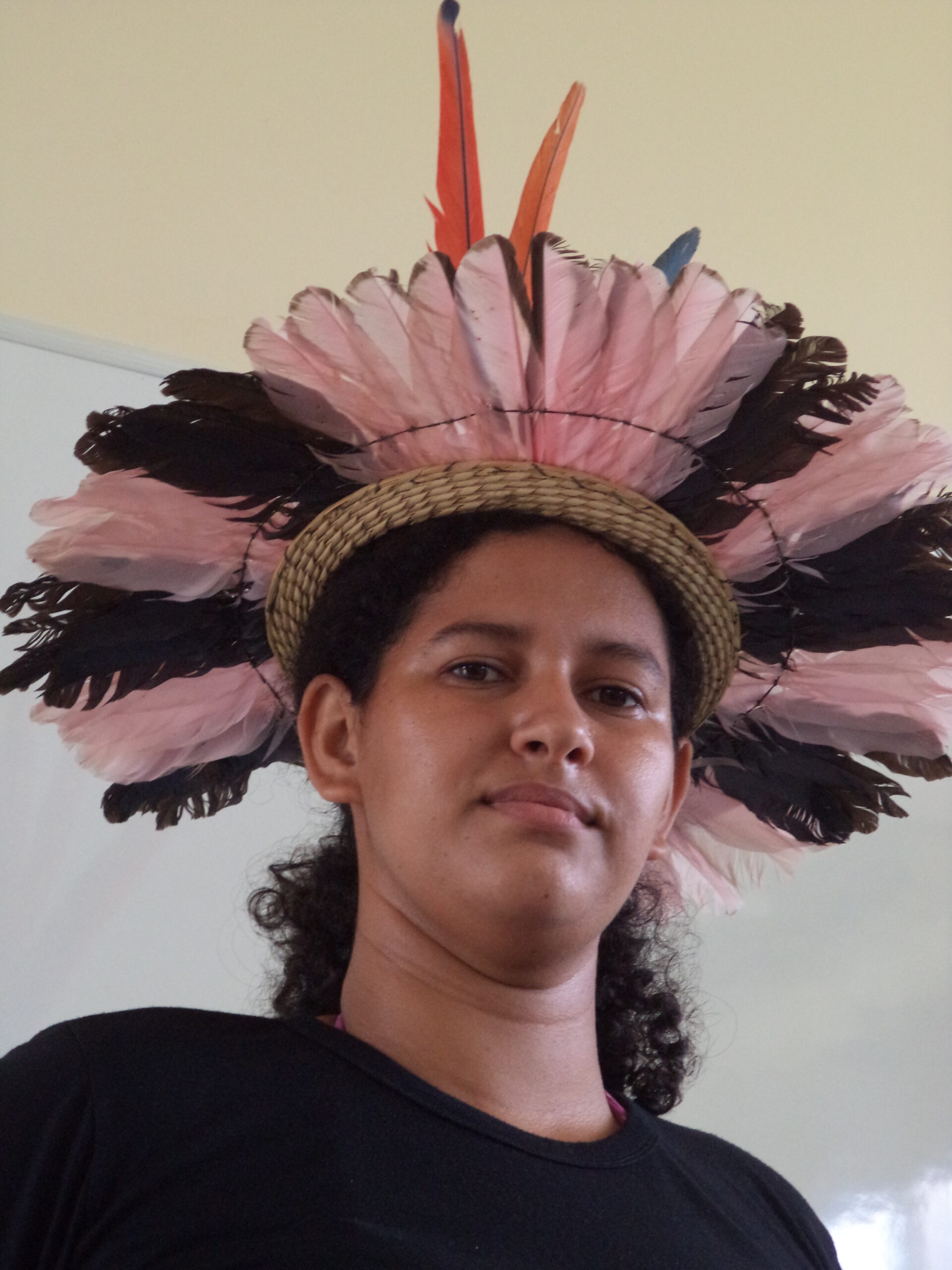 O Alto Preço do Desenvolvimento Amazônico: Relatos do processo de colonização em Rondônia