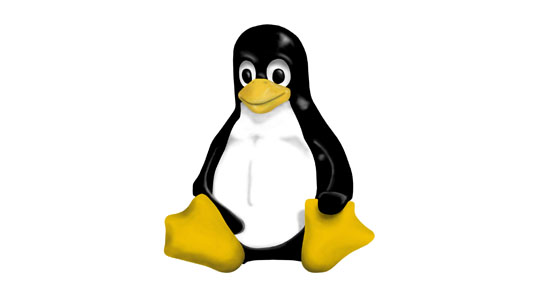 A importância da utilização do Software Livre na educação