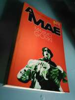 O processo de individuação humana em uma perspectiva histórico-social: notas para uma reflexão