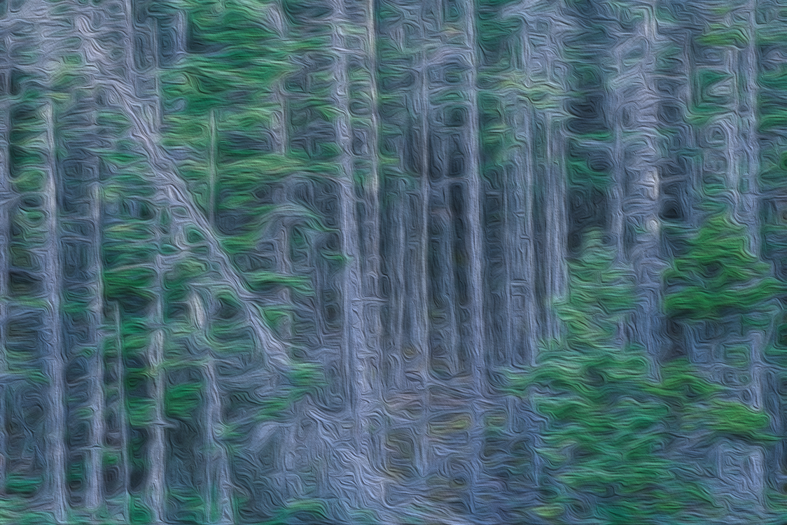 A questão ambiental