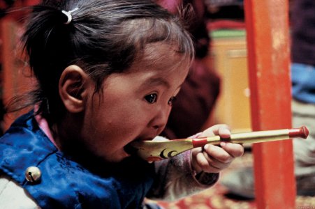 Camelos também choram