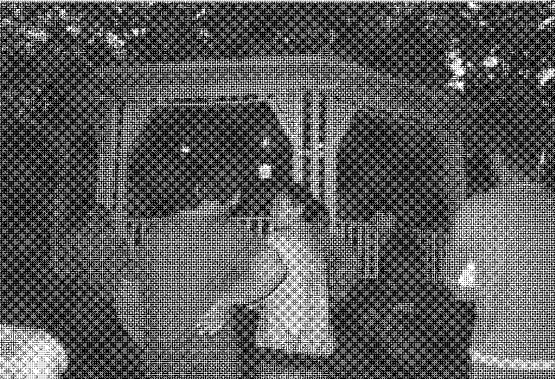 Uma questão de berço?