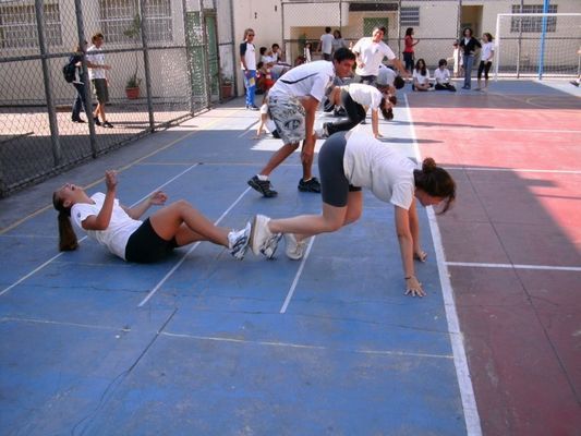 Caminhos percorridos por professores na construção de saberes docentes: um estudo com professores de Educação Física frente à inclusão de alunos com necessidades educacionais especiais no ensino comum