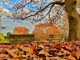 Enquanto calam a inocência