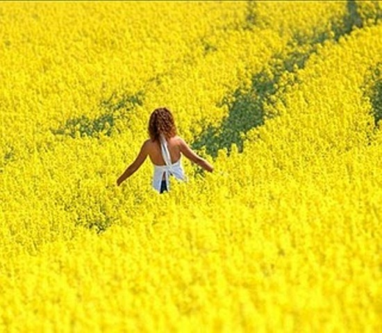 Mecanismos da cura espiritual