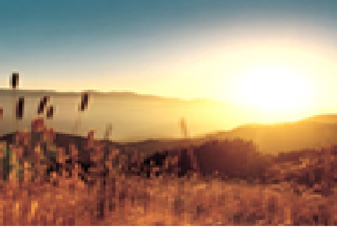 Um tributo à frustração