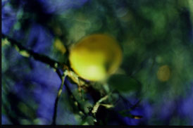 Rompendo as barreiras do preconceito