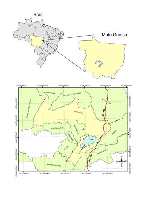 As cabeceiras do Alto Rio Paraguai no município de Diamantino/MT e Alto Paraguai – Brasil na área de influência da BR – 163 (Cuaibá/MT – Santarém/PA – situação socioambiental