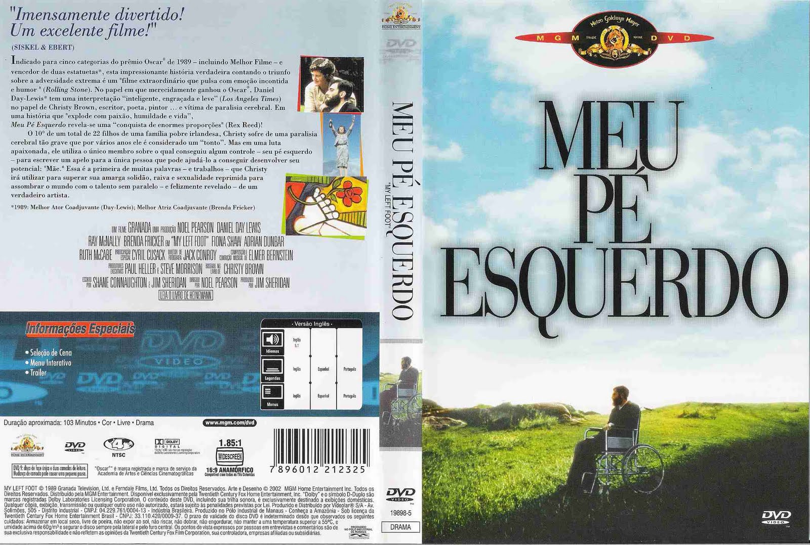 Um novo olhar sobre o filme “Meu pé esquerdo”