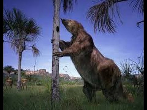 Possíveis achados pré-históricos em Rondônia: um resgate do saber local