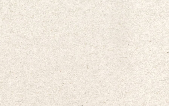 Relações de trabalho no circuito espacial da produção de papel reciclado