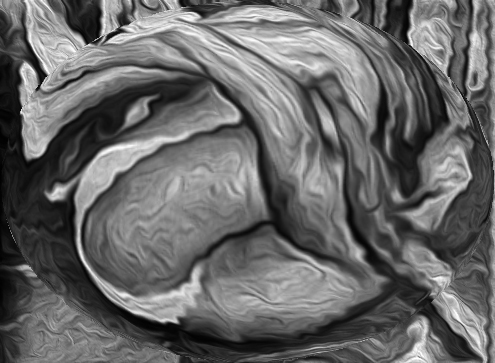 Órgãos da repressão-carência dos sentidos