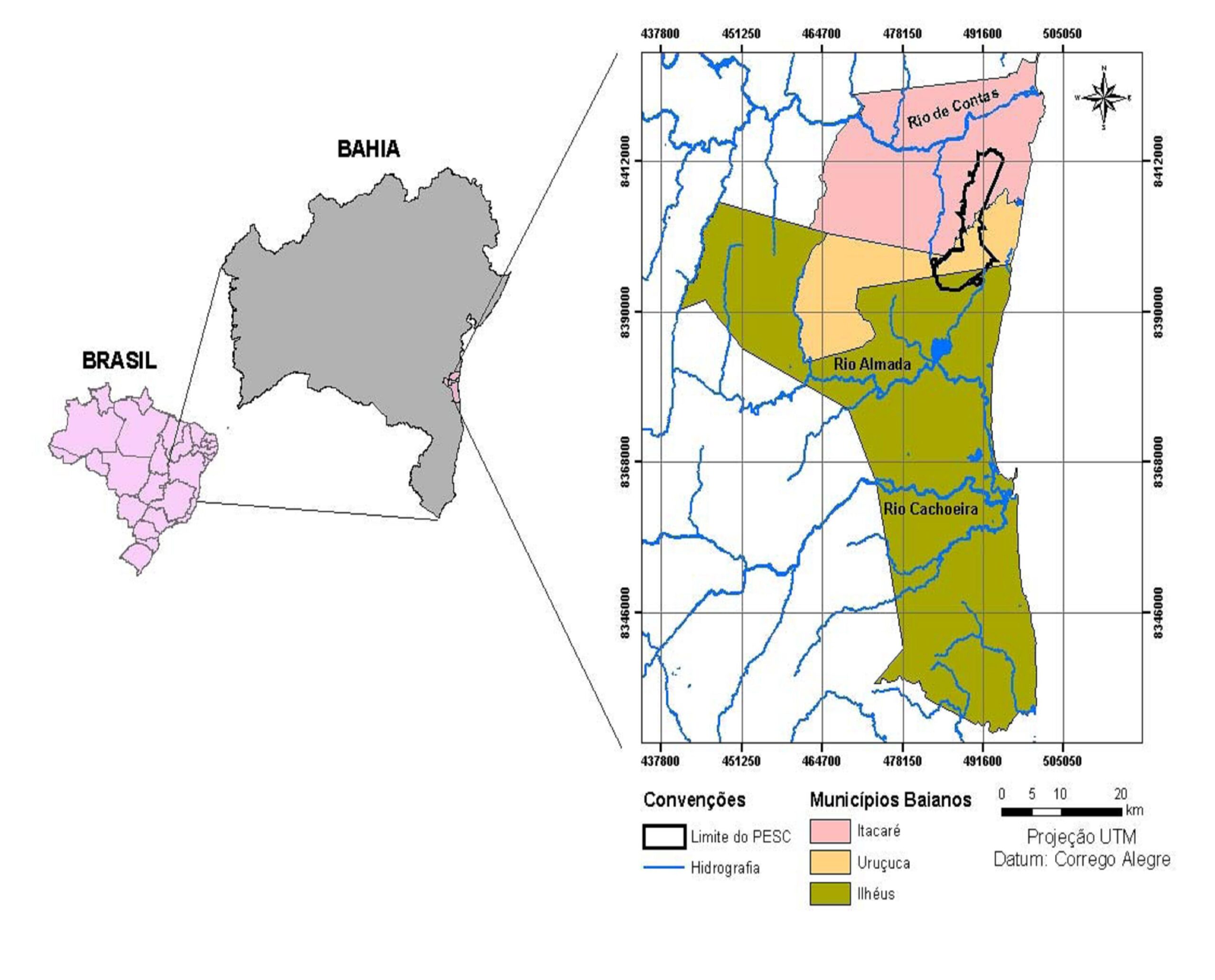 Avaliação do crescimento de mudas de pau-pombo (Tapirira guianensis Alb.) em diferentes condições, no viveiro do Instituto Floresta Viva, em Serra Grande – Uruçuca, Bahia