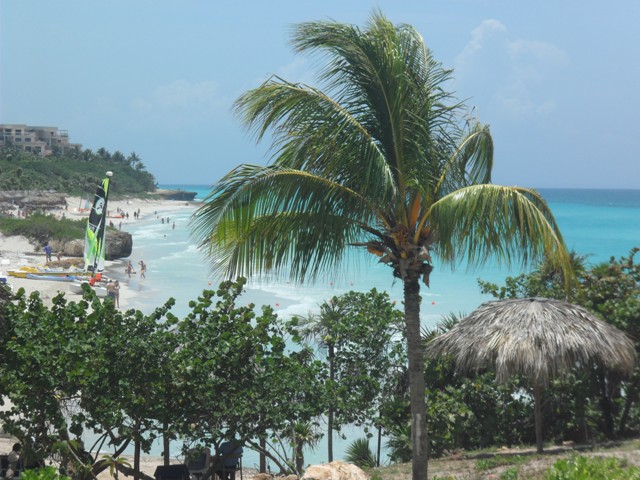 Cartografia do Meio Ambiente e o Planejamento Físico-Territorial Urbano: repercussões na ambiência