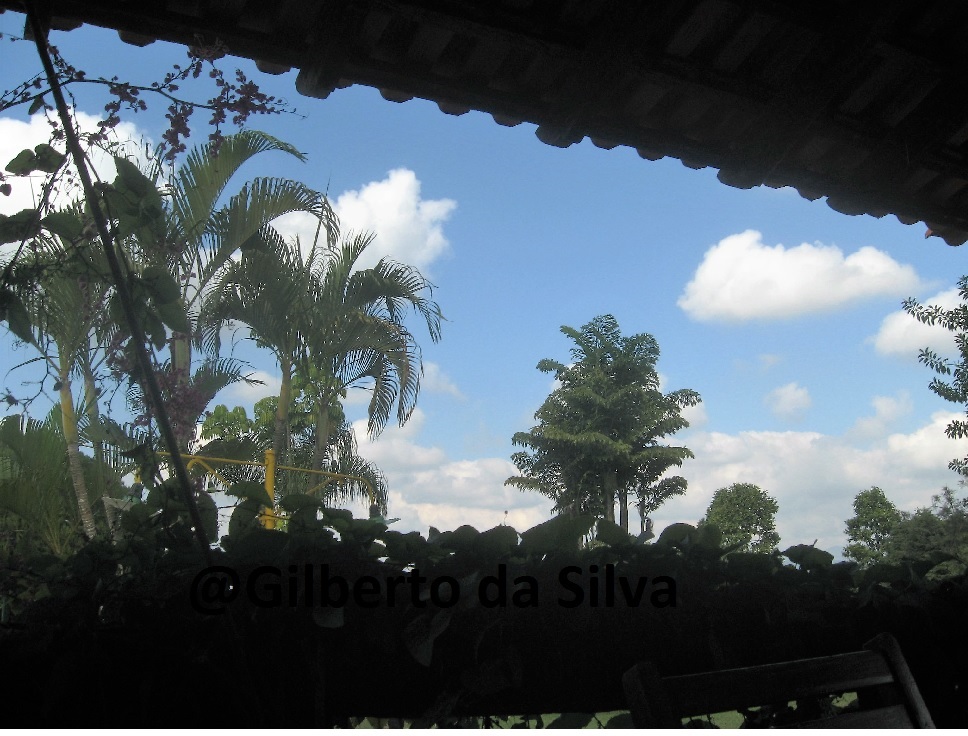 Sustentabilidade um caminho a ser seguido