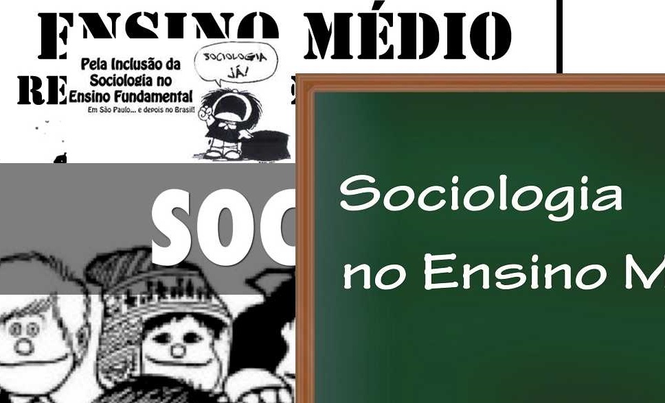A Sociologia no Ensino Médio: conquistas e sentidos