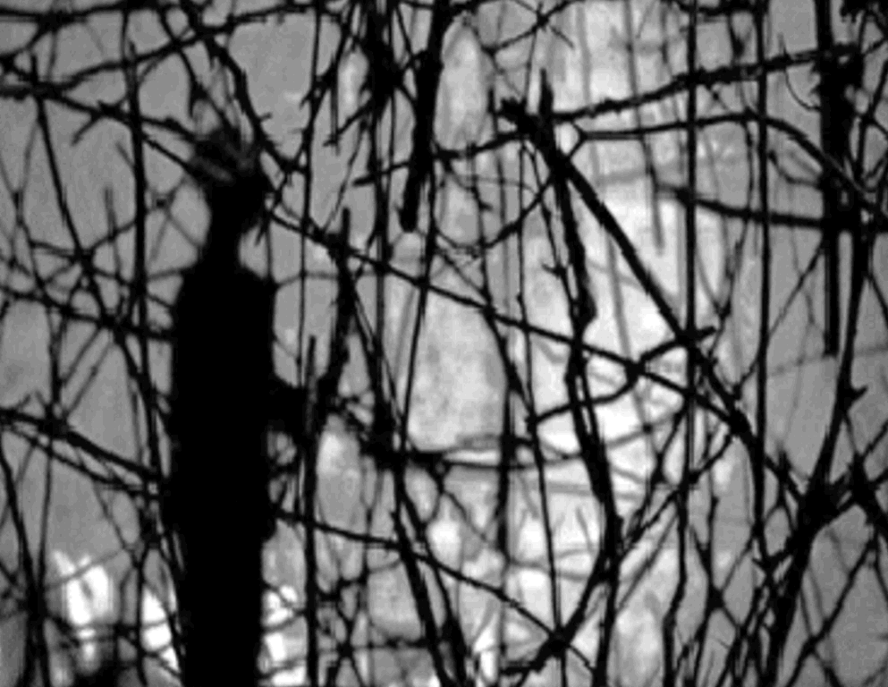 Somos Perfectíveis. E por quê não?