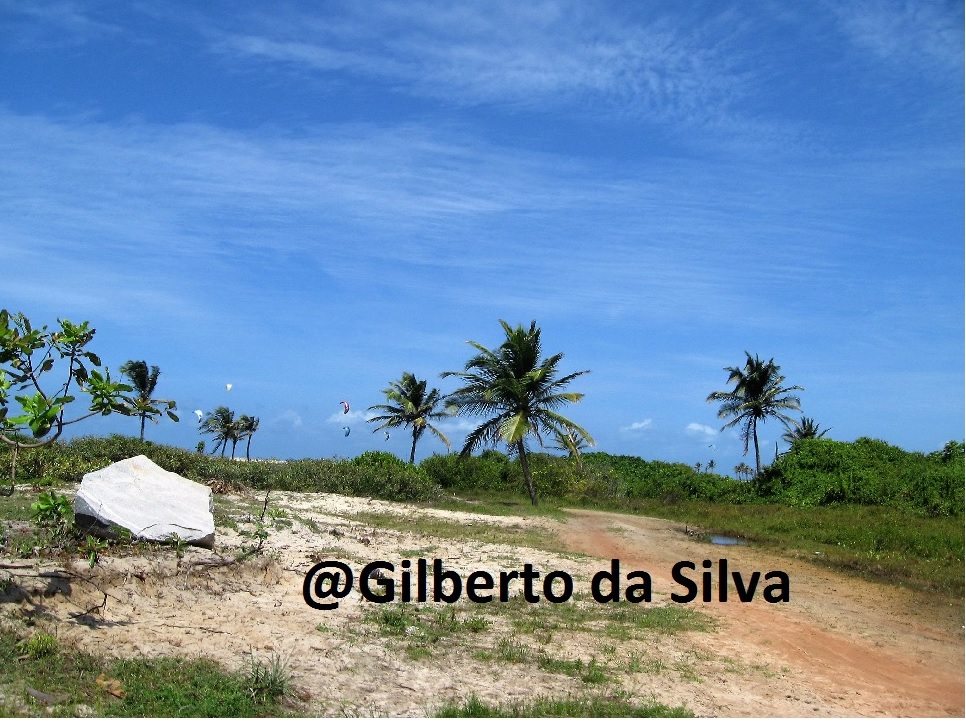 Responsabilidade Socioambiental: um olhar sobre a relação da empresa com o meio ambiente