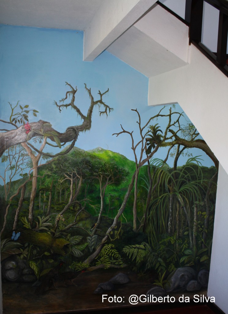 A influência do Habitus na Construção de uma Educação Ambiental crítica