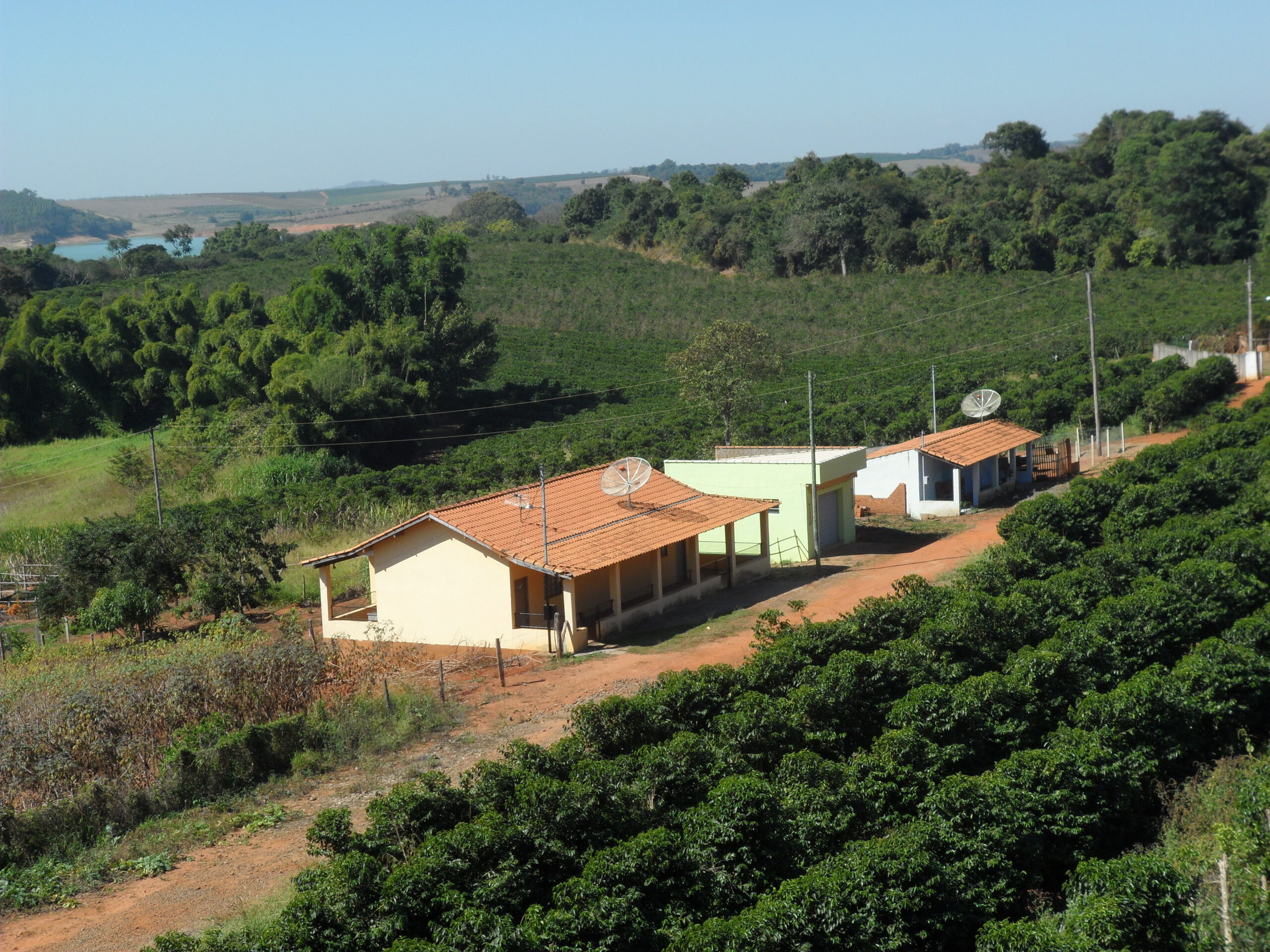 Educação rural frente os desafios do colorido urbano: incitando o êxodo dos talentos