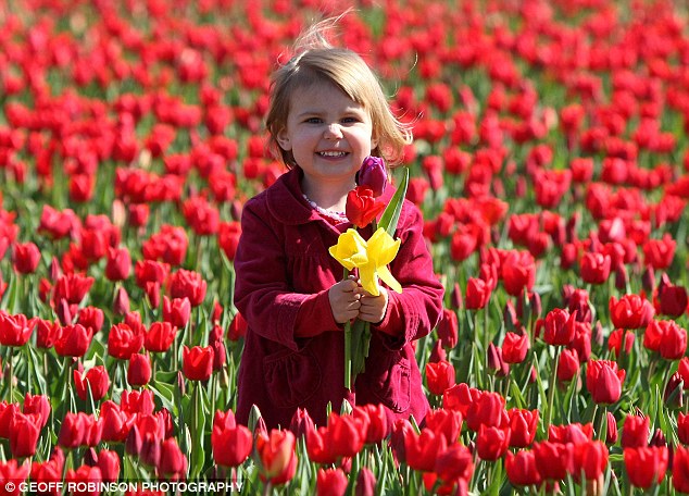 Duro de Matar”? – NÃO!