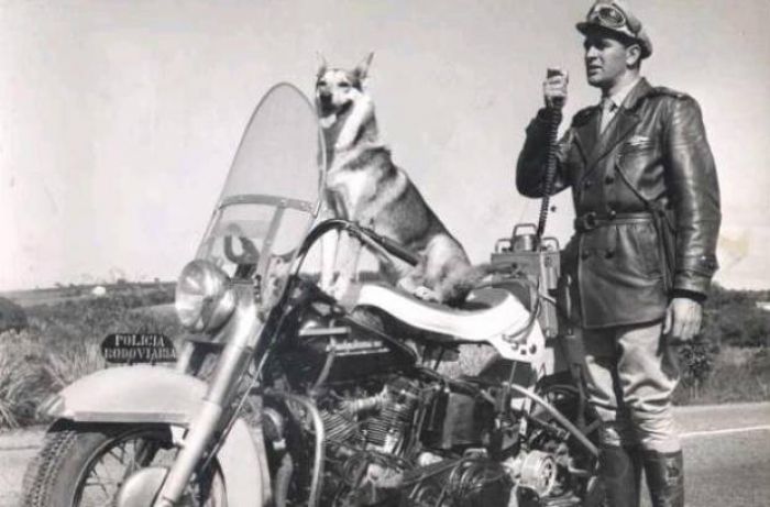 VIGILANTE RODOVIÁRIO