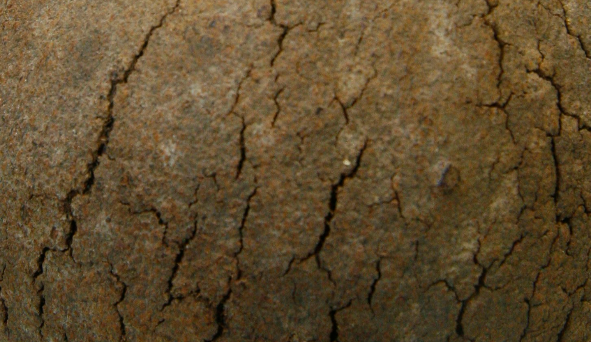 A nova parceria estratégica que está moldando o futuro do trabalho