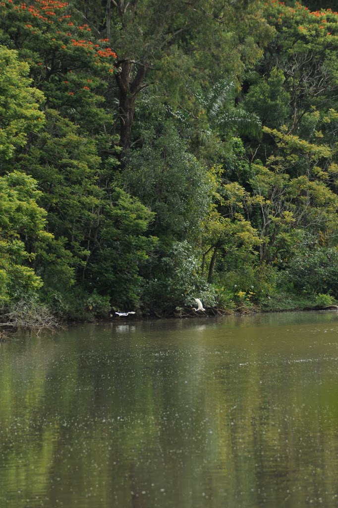 UFSCar promove workshop sobre marco regulatório da biodiversidade brasileira