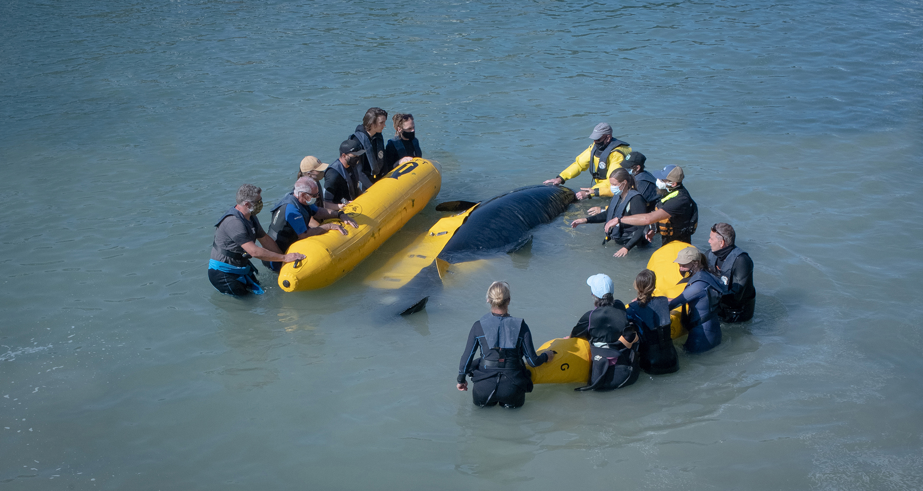 FUTUROS PRESENTES: CINEMAS EUROPEUS” GANHA NOVA EDIÇÃO EM 2022