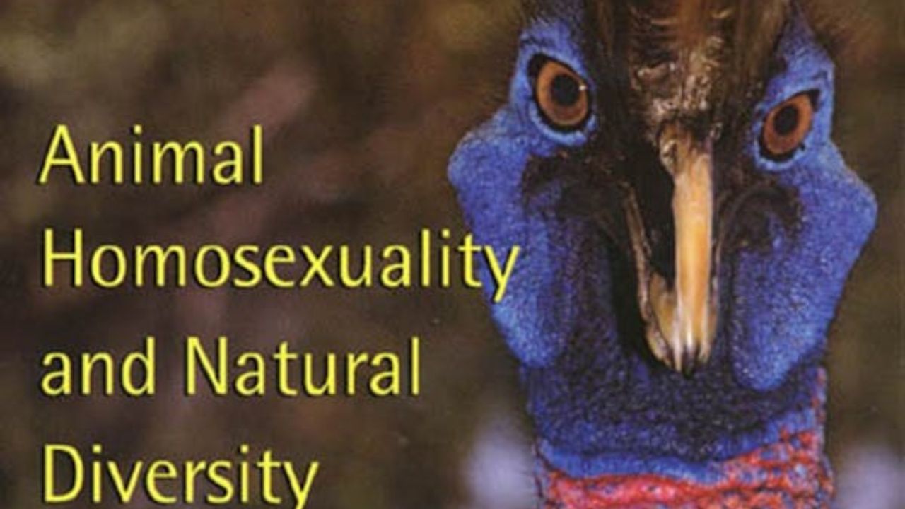 REFORMA NA IGREJA CATÓLICA