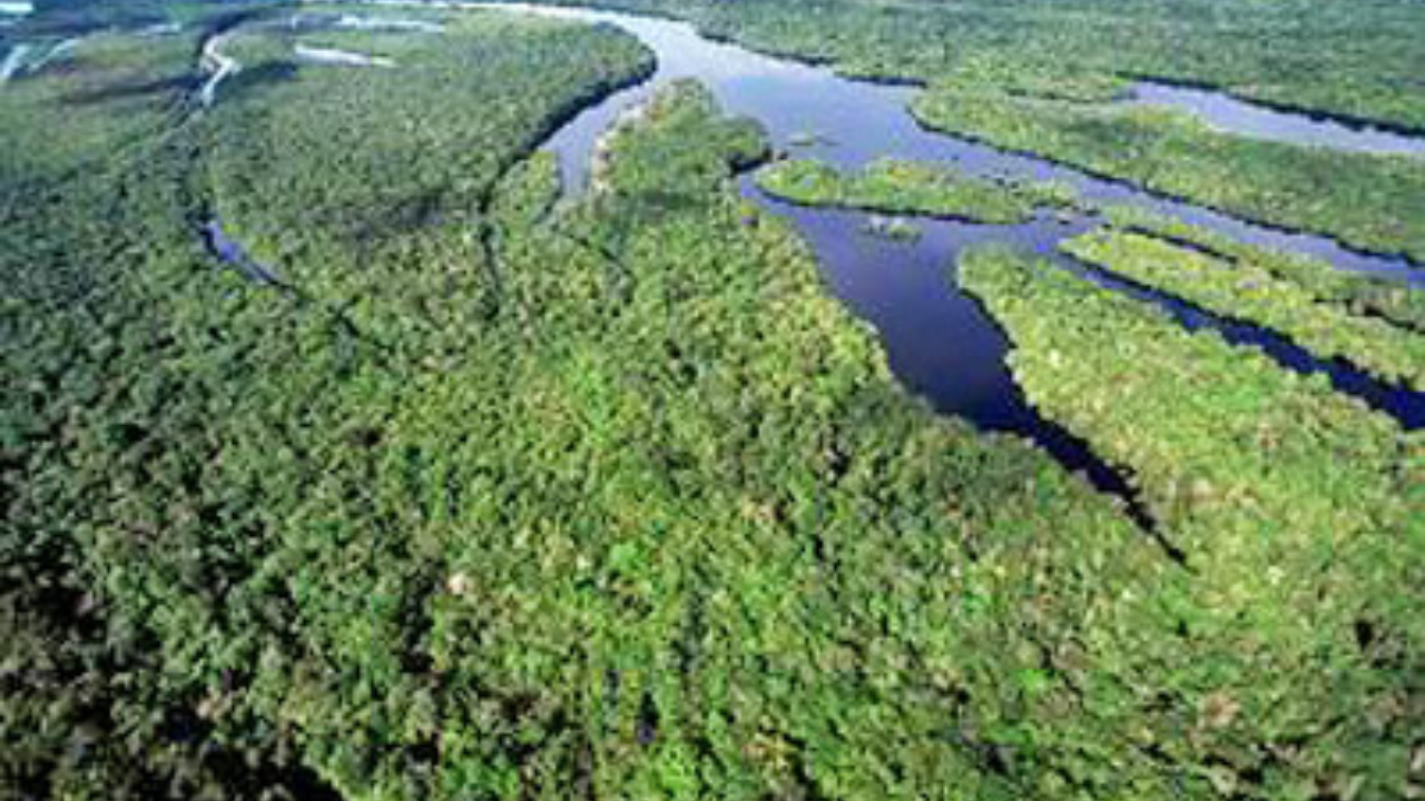 A Amazônia não precisa só de internet