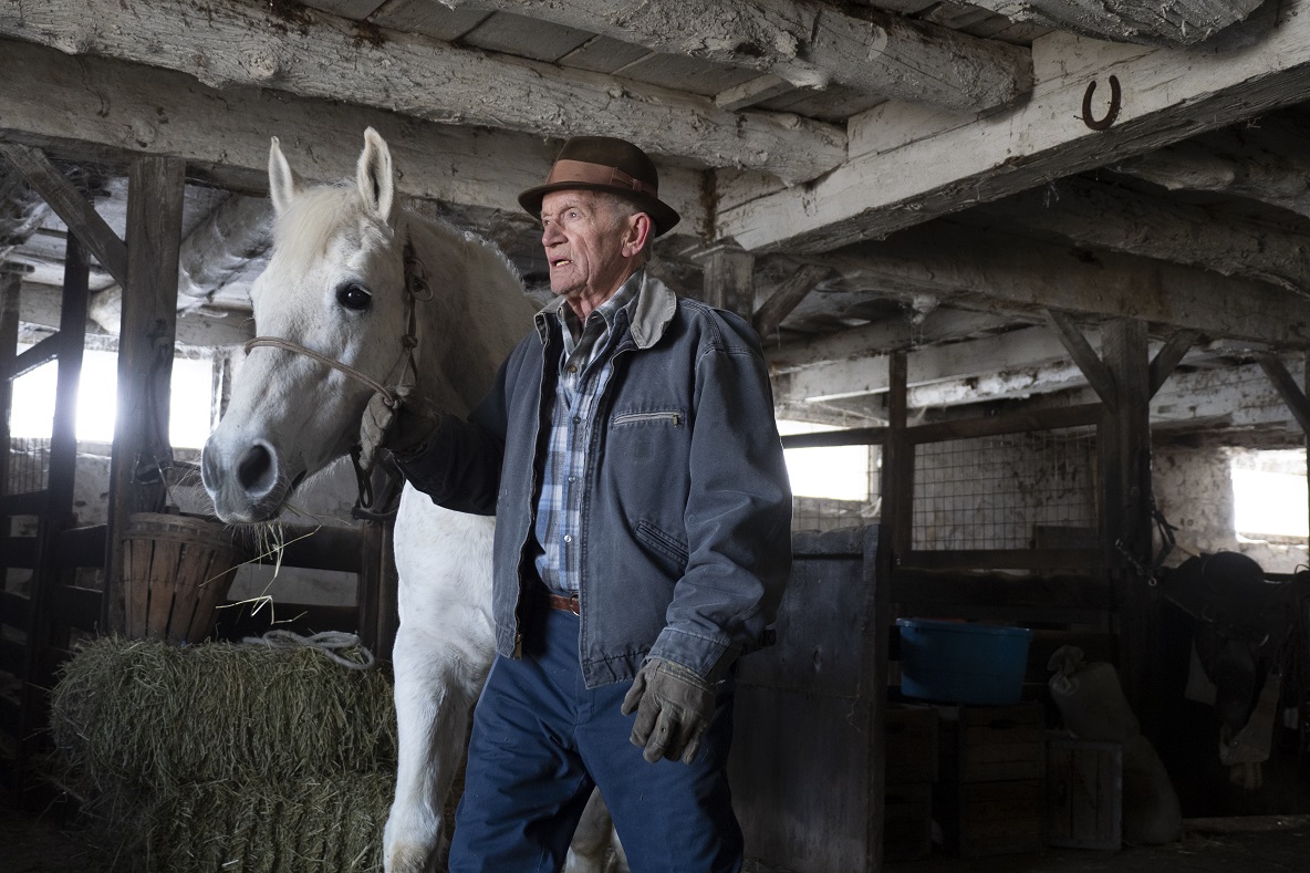 FALLING – AINDA HÁ TEMPO