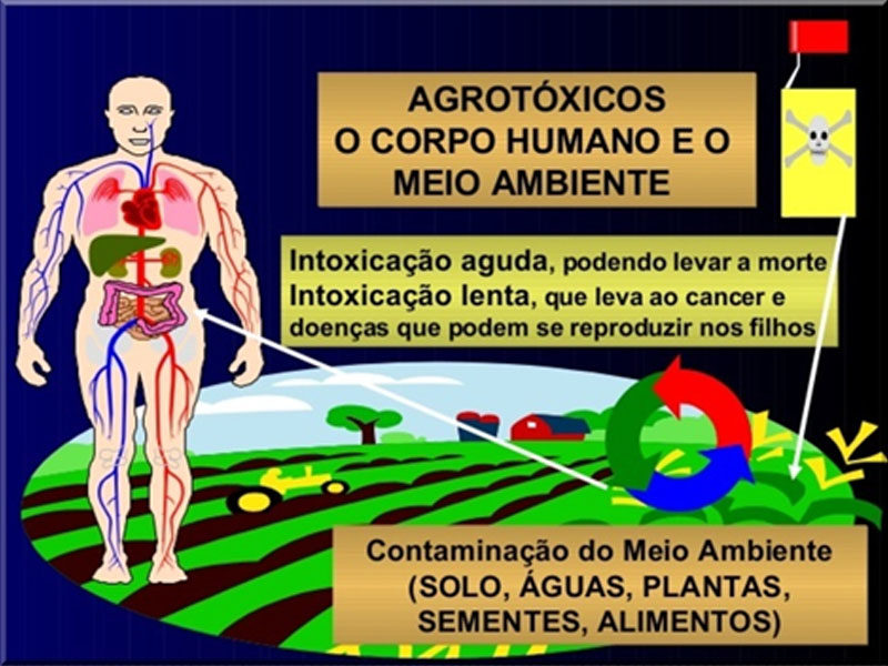 Fernando Haddad – Uma proposta inteligente