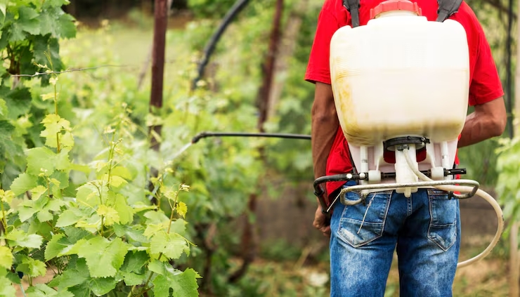 Denúncias ambientais disparam 868% no último ano e alertam para a mineração, uso de agrotóxicos e áreas de preservação no Brasil