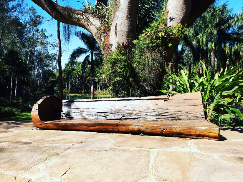 Inhotim: a incrível mistura de arte e natureza exuberante