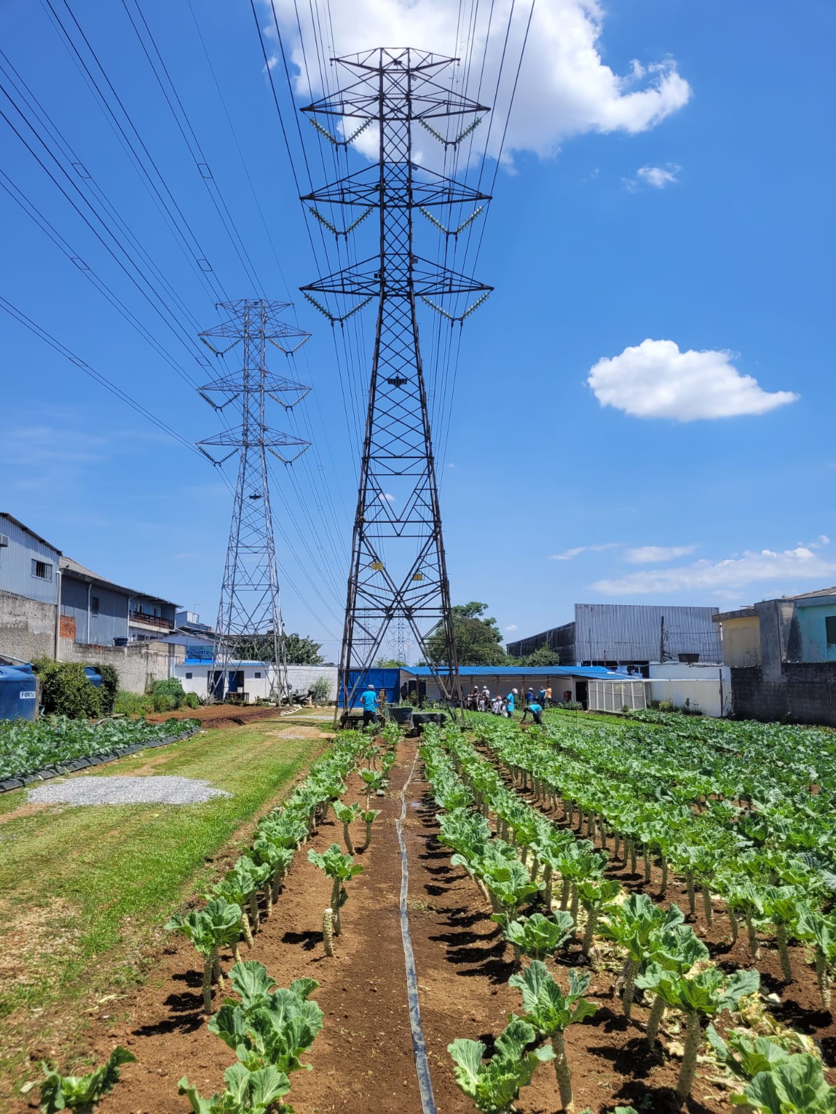 PROJETO HORTAS EM REDE PROMOVE DIÁLOGO ENTRE GOVERNO, SOCIEDADE E AGRICULTORES SOBRE DESAFIOS E AVANÇOS DA AGRICULTURA URBANA