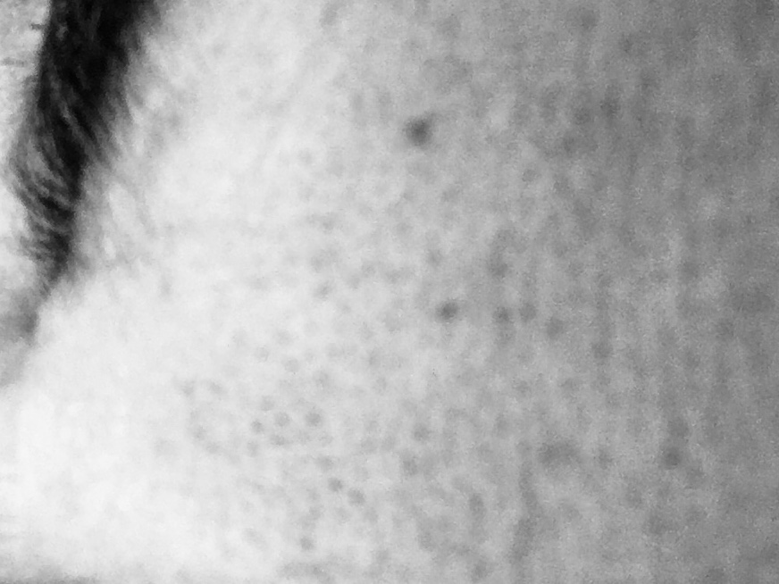 POTENCIALIDADE DA TEORIA MODELOS MENTAIS: UMA EXPERIÊNCIA EM SALA DE AULA COM O USO DE GÊNEROS TEXTUAIS